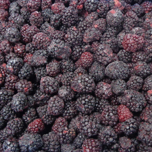 IQF Blackberries