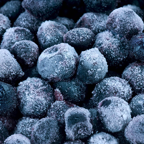 IQF Blueberries