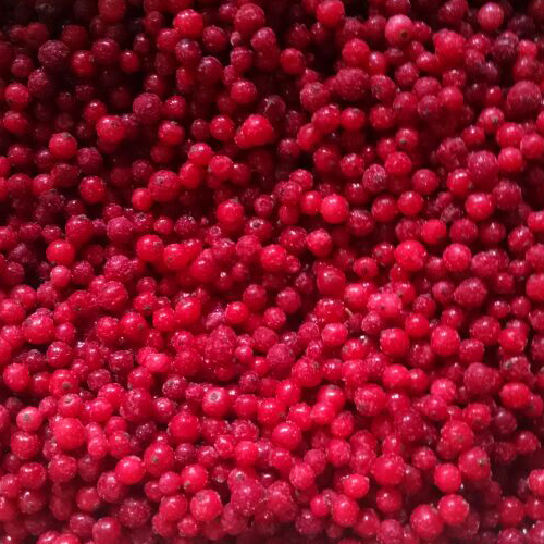 IQF Red Currants